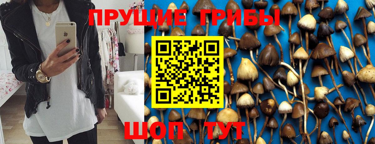 Галлюциногенные грибы Psilocybe  Вход с VPN  Псилоцибиновые грибы GOLDEN TEACHER  Лабинск 